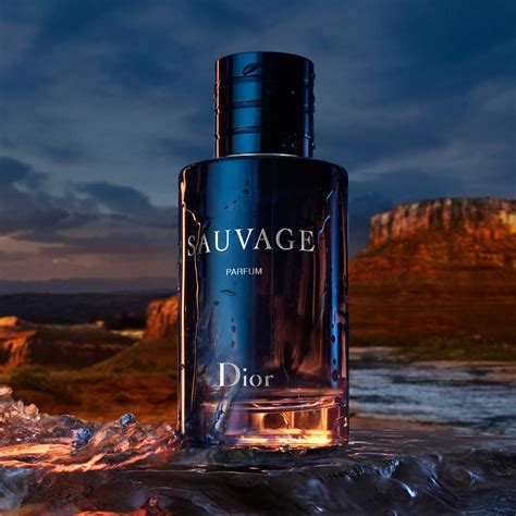 sauvage eau de parfum spray elixir von dior|dior sauvage elixir reviews.